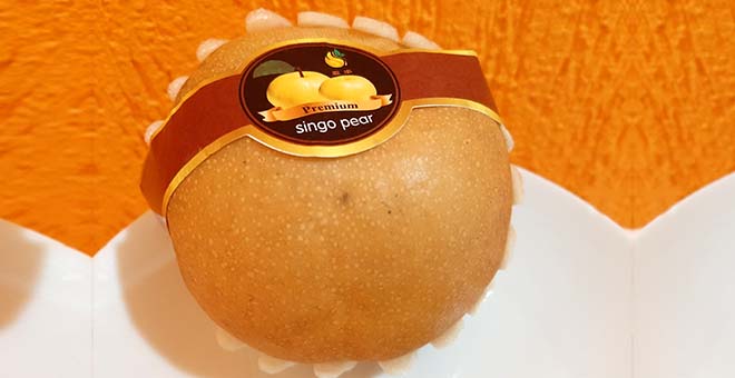 singo pear premium pera asiática