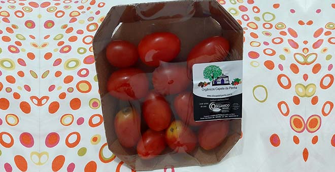 tomates da Orgânicos Capela da Penha