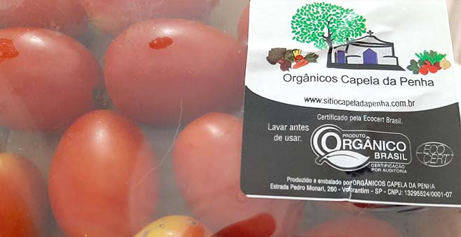 tomates da Orgânicos Capela da Penha